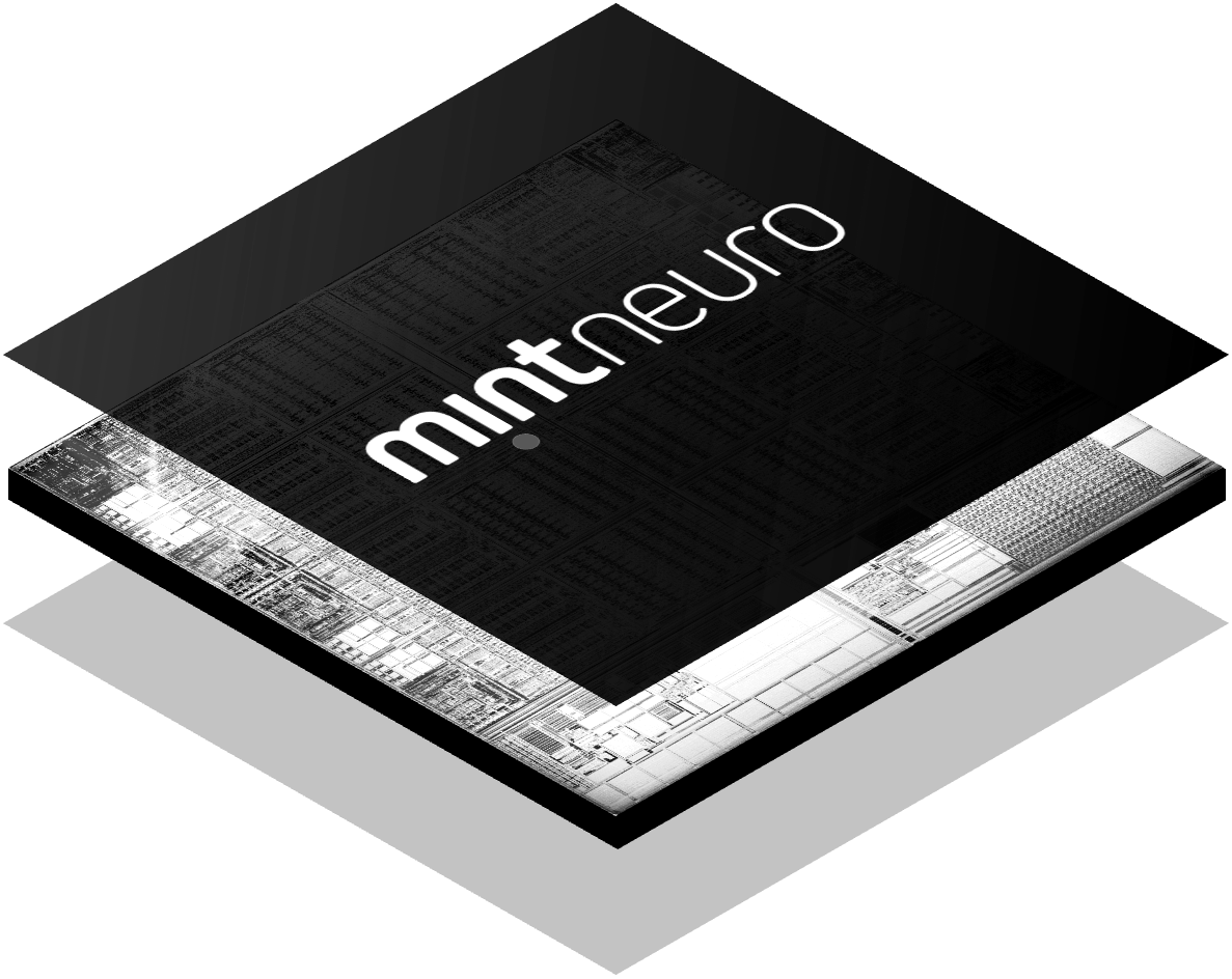 MintNeuro